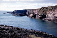 1989_CEH5437_D132