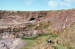 1989_CEH5438_D133