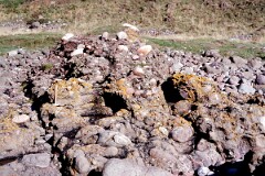 1989_CEH5439_D134