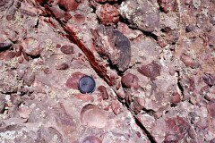 1989_CEH5444_D139