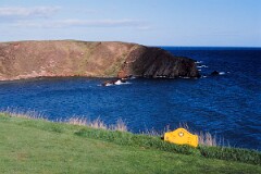 1989_CEH5446_D141