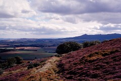 1989_CEH5454_D149