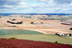 1989_CEH5455_D150