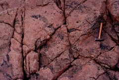 1989_CEH5457_D152