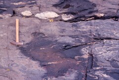 1989_CEH5458_D153