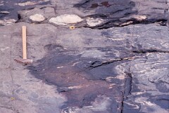 1989_CEH5460_D154