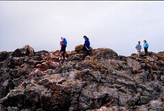 1989_CEH5461_D155