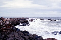 1989_CEH5465_D159