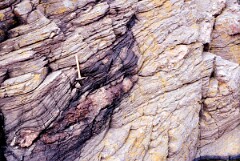 1989_CEH5466_D160
