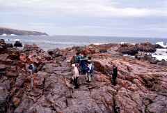 1989_CEH5467_D161