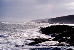 1989_CEH5468_D162