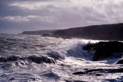 1989_CEH5470_D164