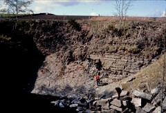 1982_CEH3730_A299