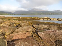 IMG_0064