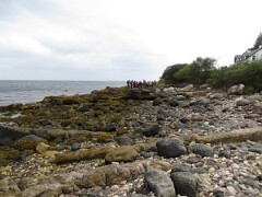 IMG_0079