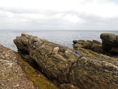 IMG_0081