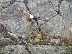 IMG_0094