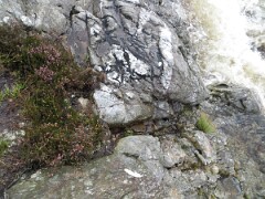IMG_0095