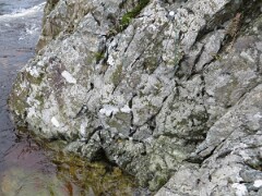 IMG_0101