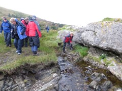 IMG_0104
