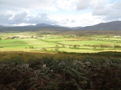 IMG_0116