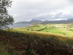 IMG_0117