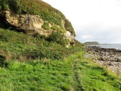 IMG_0118
