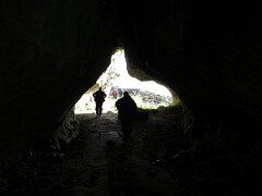 IMG_0121
