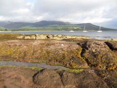 IMG_0126
