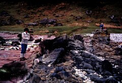 1982_CEH4354_B020