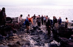 1982_CEH4355_B021