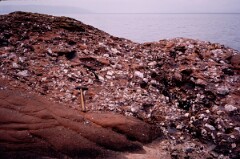 1982_CEH4358_B024
