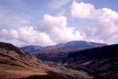 1982_CEH4360_B026