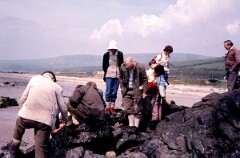 1982_CEH4362_B028