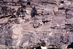 1982_CEH4366_B032