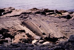 1982_CEH4367_B033