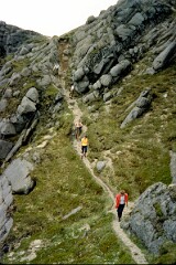 1982_CEH4386_B052