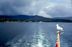 1982_CEH4400_B066