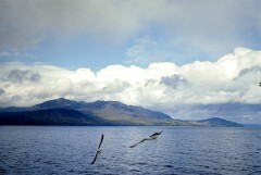 1982_CEH4401_B067