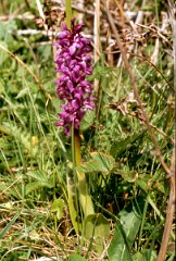 1982_CEH4410_B076