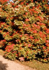 1982_CEH4416_B082