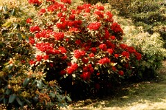 1982_CEH4417_B083