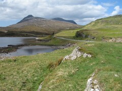 IMG_2405
