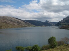 IMG_2406