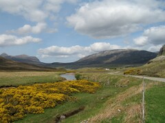 IMG_2439