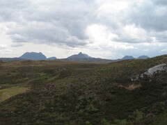 IMG_2461