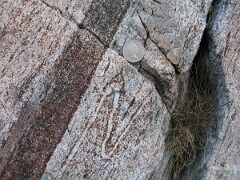 IMG_2503