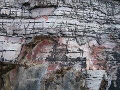IMG_2556
