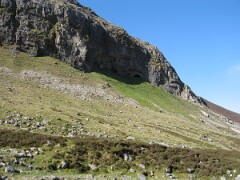 IMG_2582