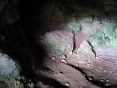 IMG_2586